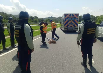  Adulto mayor  murió atropellado en San Joaquín