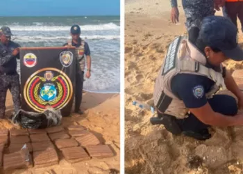 Descubren 40 panelas de marihuana en una playa de Falcón