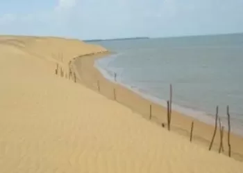 Muere adolescente tras pisar un cable de alta tensión