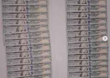 Cae reina de los dólares falsos en Guárico (+Detalles)