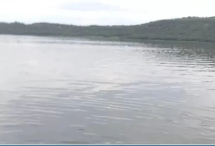 Una mujer y un niño murieron por inmersión en el Pao