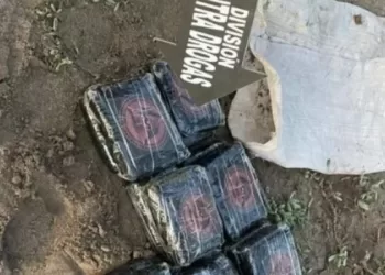 Desentierran seis panelas de droga en una casa de Maracaibo