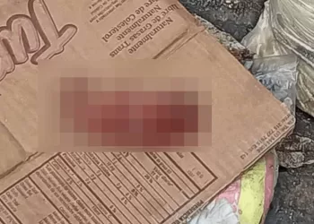 Encuentran feto en contenedor de basura en La Bandera