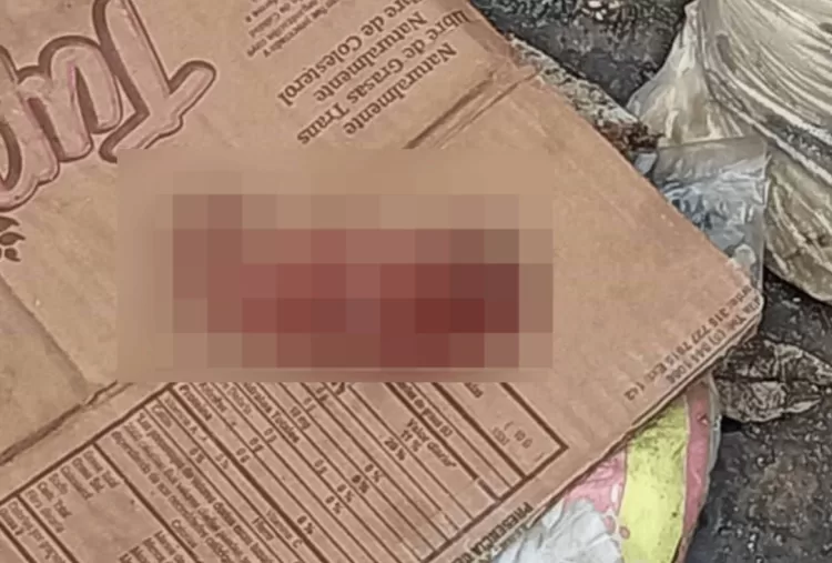 Encuentran feto en contenedor de basura en La Bandera