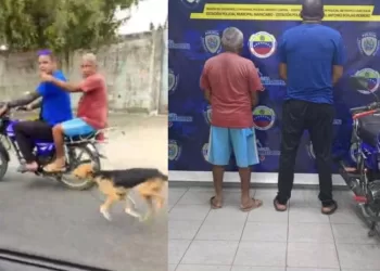 Dos hombres detenidos por maltrato animal en Zulia