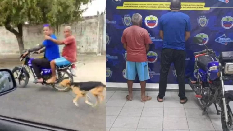 Dos hombres detenidos por maltrato animal en Zulia