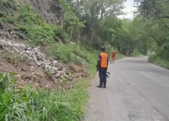 Niña de nueve años murió y su hermano resultó herido tras ser embestidos por un vehículo